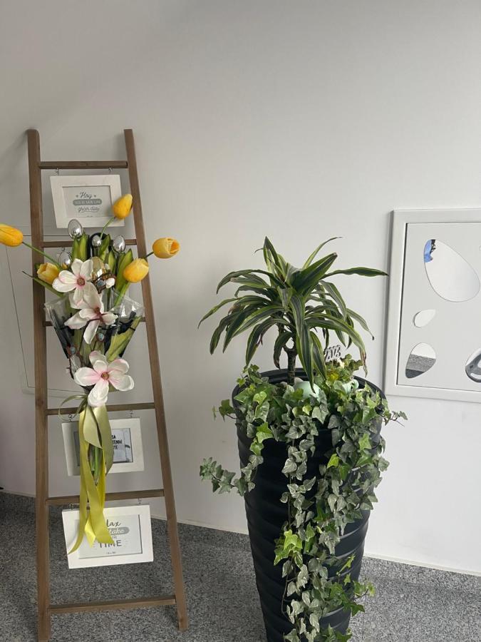 Am Apartments Timişoara Eksteriør bilde